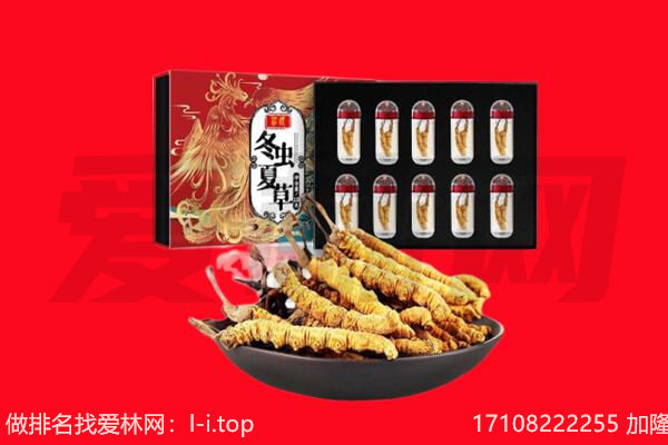 重庆巫溪县回收虫草.jpg